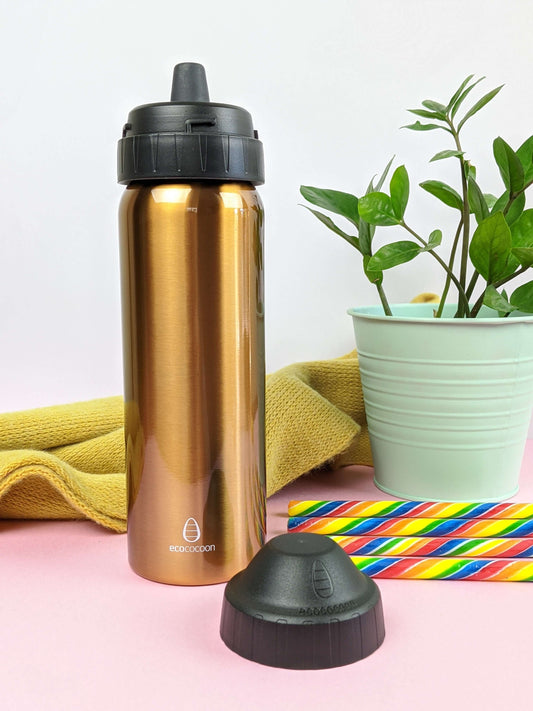 Stainless Steel Water Bottle