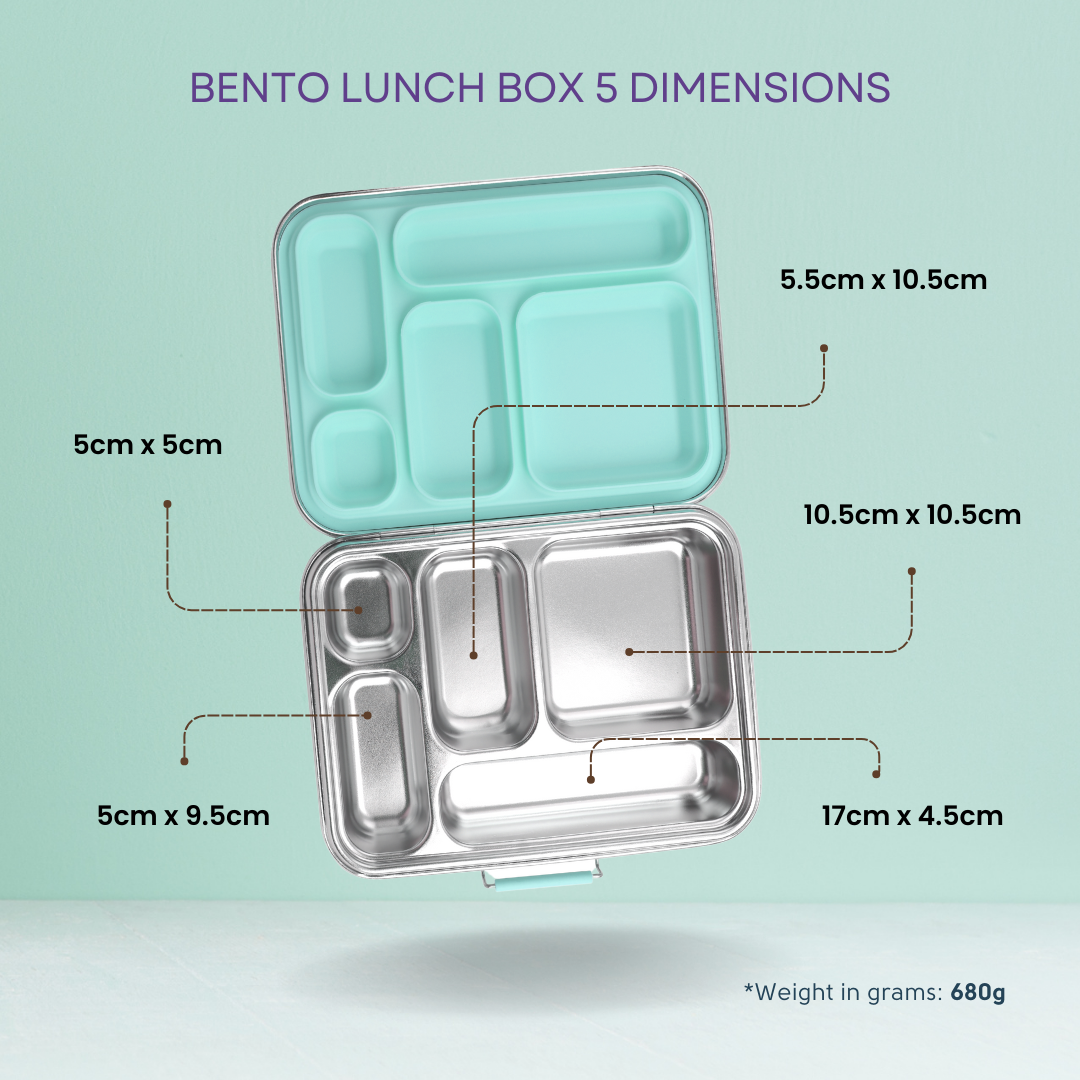 Bento lunch box with dimensions labeled on a light green background