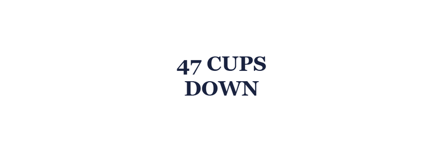 Switching from plastic cups to stainless steel cups - the family swap
