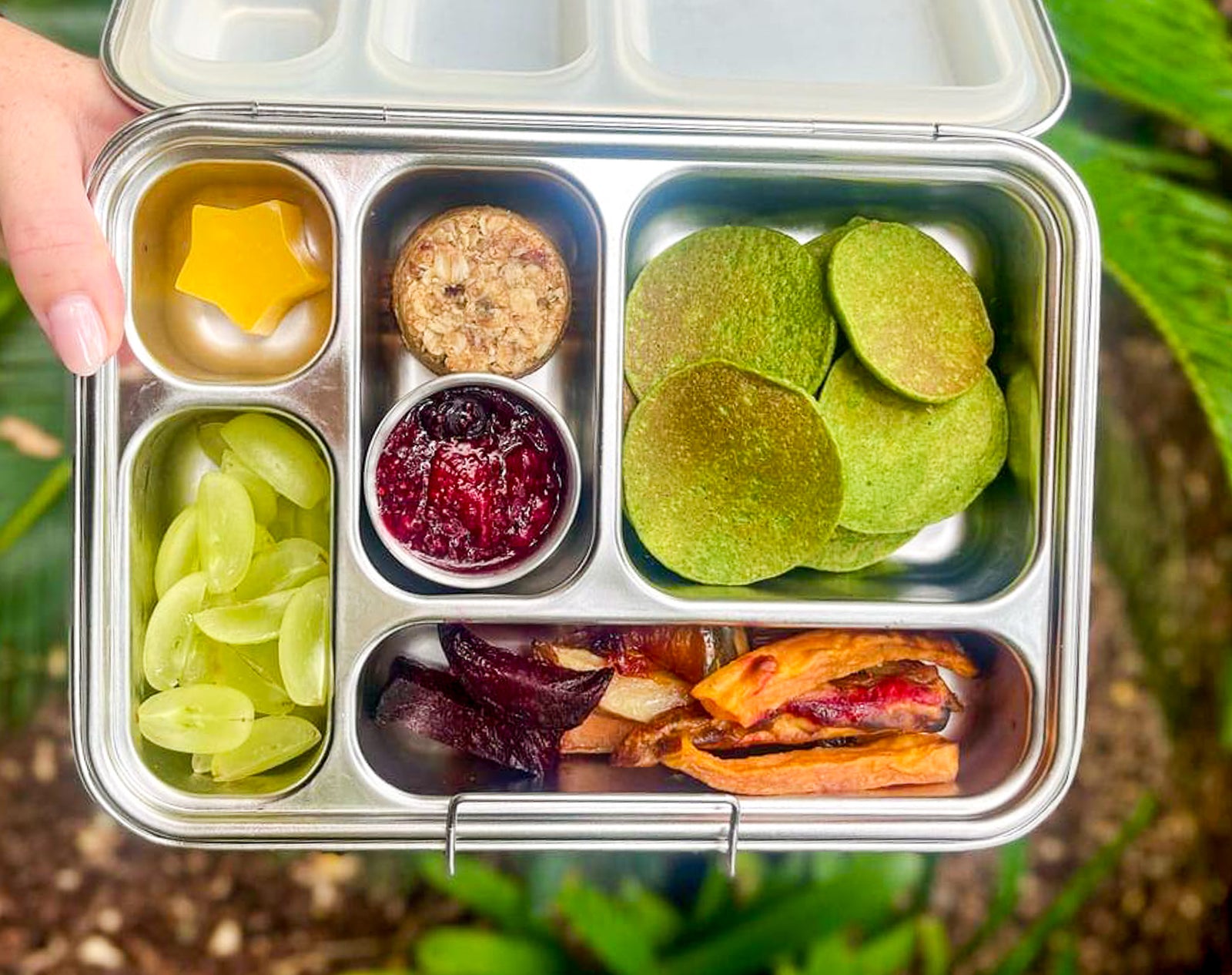 Ecococoon Leak Proof Bento Lunch Box for Easy Baby Led Weaning Ecococoon