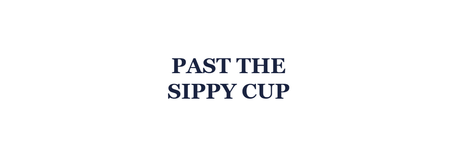 Stainless steel cups for toddlers - moving past sippy cups for speech and oral development