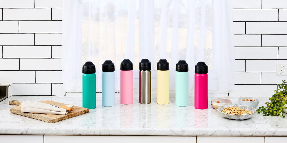Insulated Stainless Steel Water Bottles