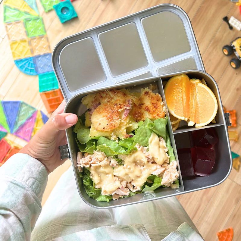 Stainless Steel Lunchboxes